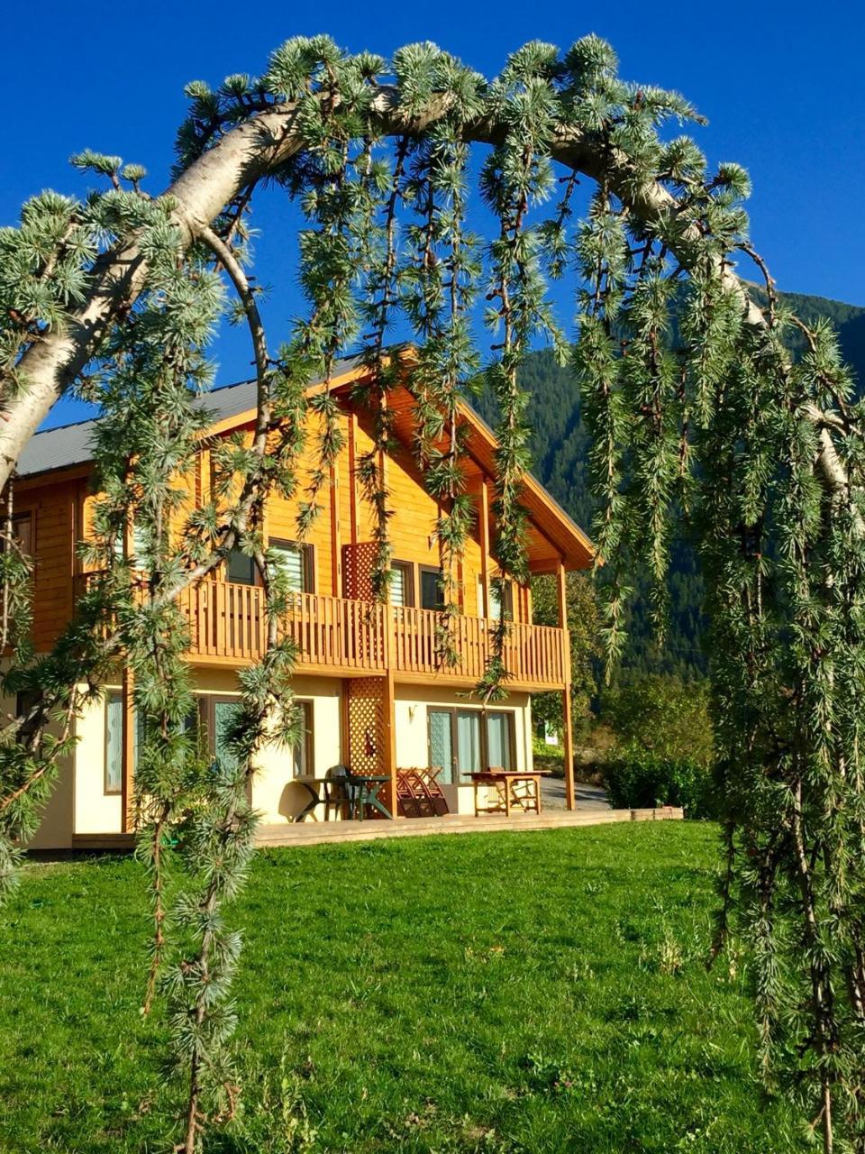 Les Chalets Fleurs De France - Kota Saint-Dalmas 외부 사진