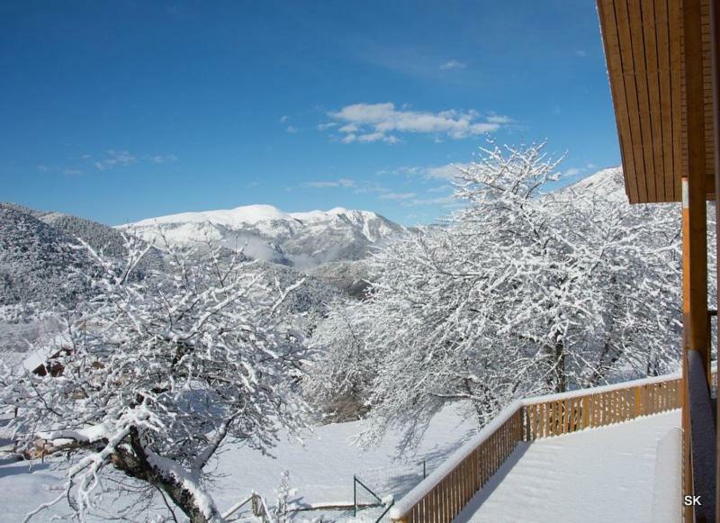 Les Chalets Fleurs De France - Kota Saint-Dalmas 외부 사진